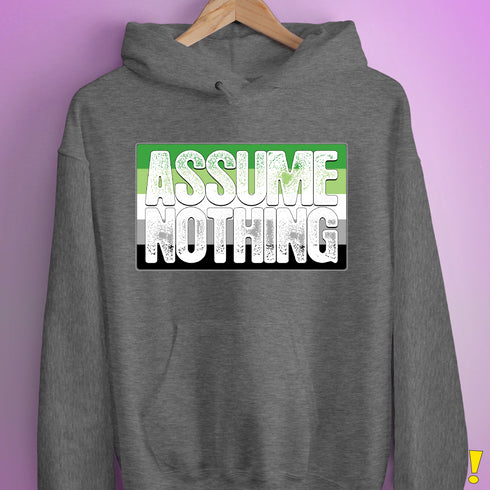 Assume Nothing Aromantic Pride Flag Hoodie - Grey Heather